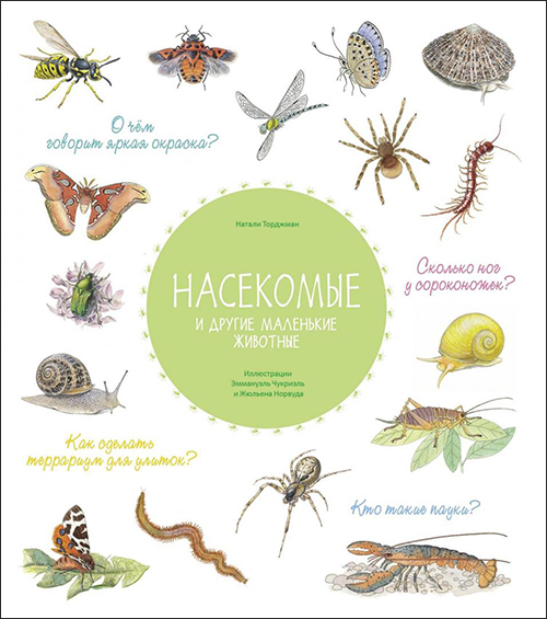 

Насекомые и другие маленькие животные - Натали Торджман (978-5-9951-4639-1)
