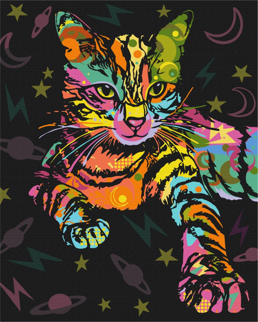 

Картина по номерам - Космический кот BrushMe 40*50см. (BS51365)
