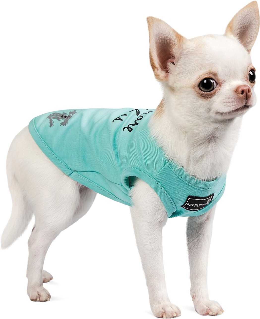 

Борцовка для собак Pet Fashion "Puppy" XS-2 Мята (4823082420100)