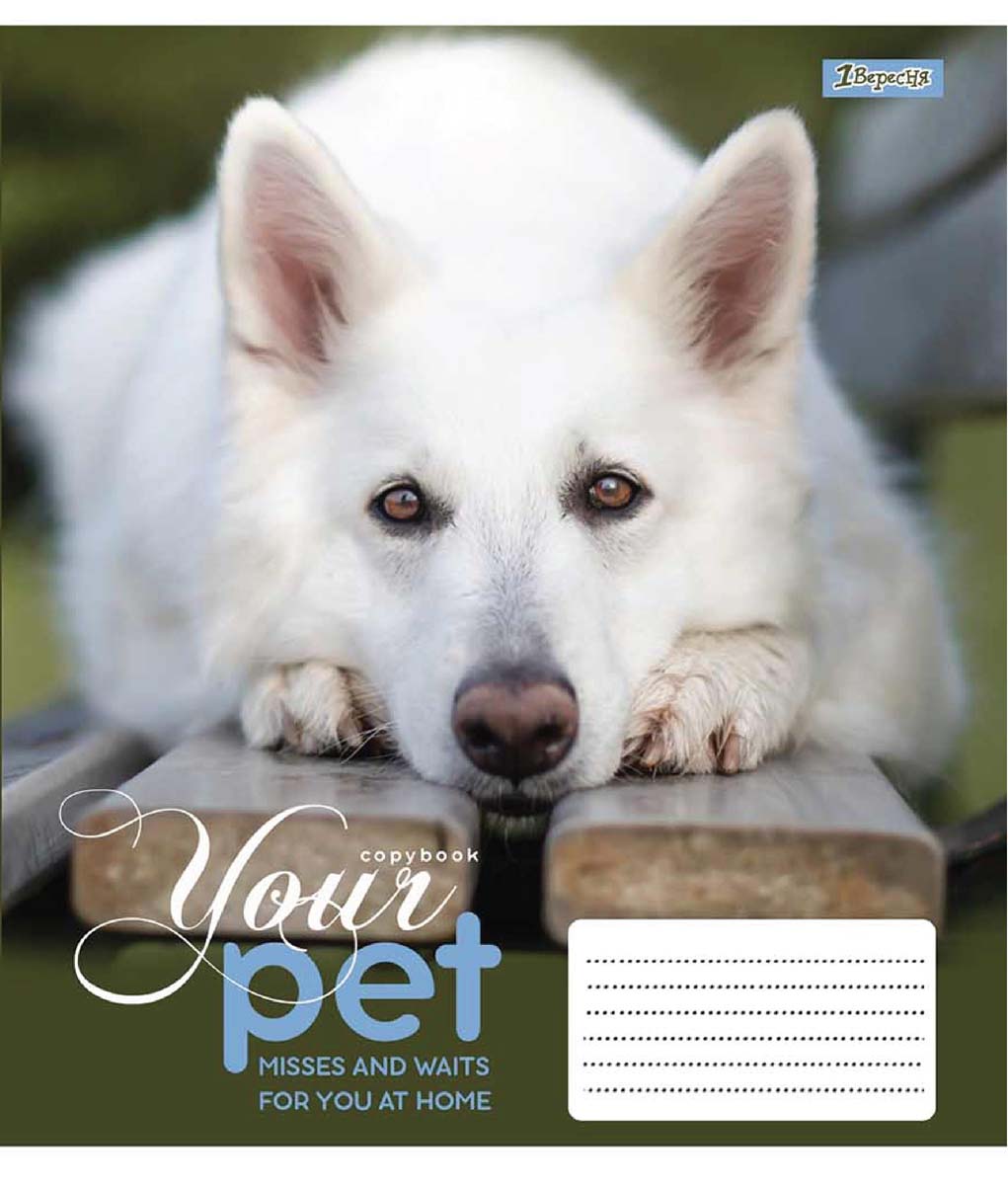 

Набор тетрадей ученических 1 Вересня Dog loyality А5 12 листов в клетку 25 шт (765412)