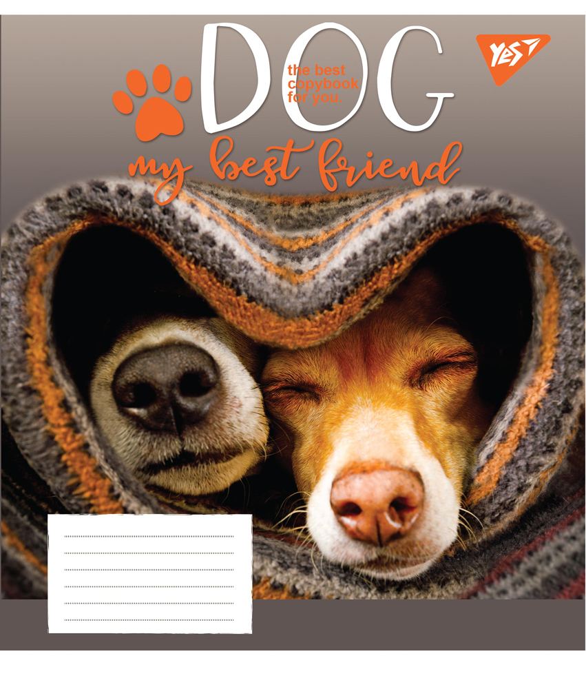 

Набор тетрадей ученических YES Dog friend А5 18 листов в клетку 25 шт (765509)