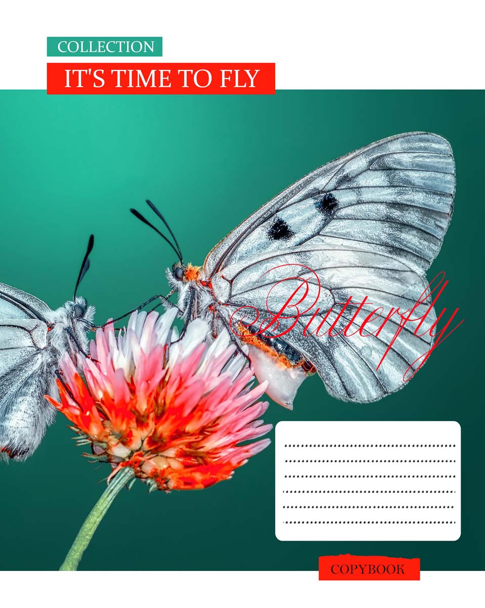 

Набор тетрадей ученических 1 Вересня Time to fly А5 18 листов в линейку 25 шт (765669)