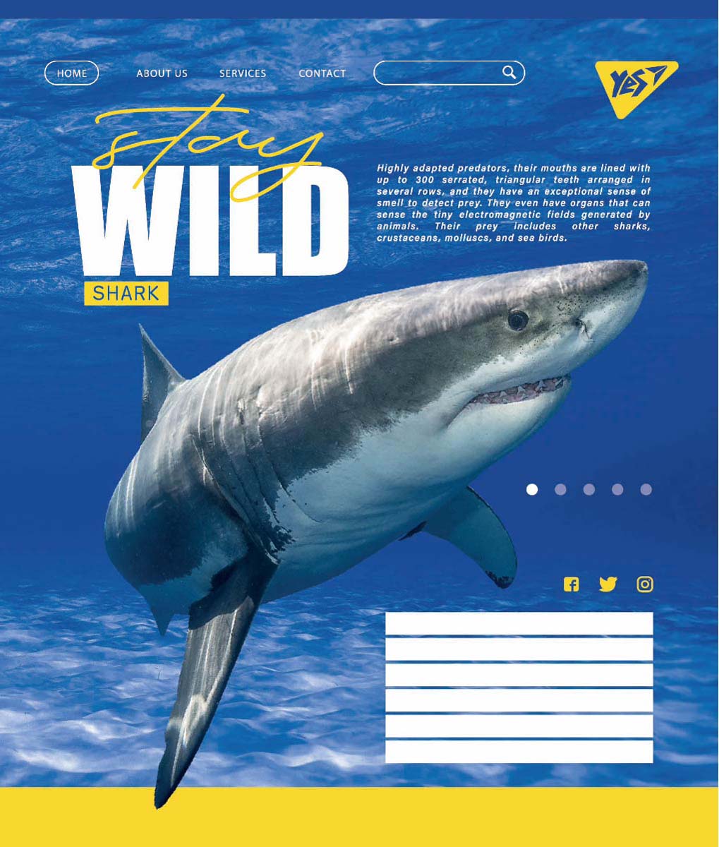 

Набор тетрадей ученических YES Stay wild А5 18 листов в линейку 25 шт (764986)