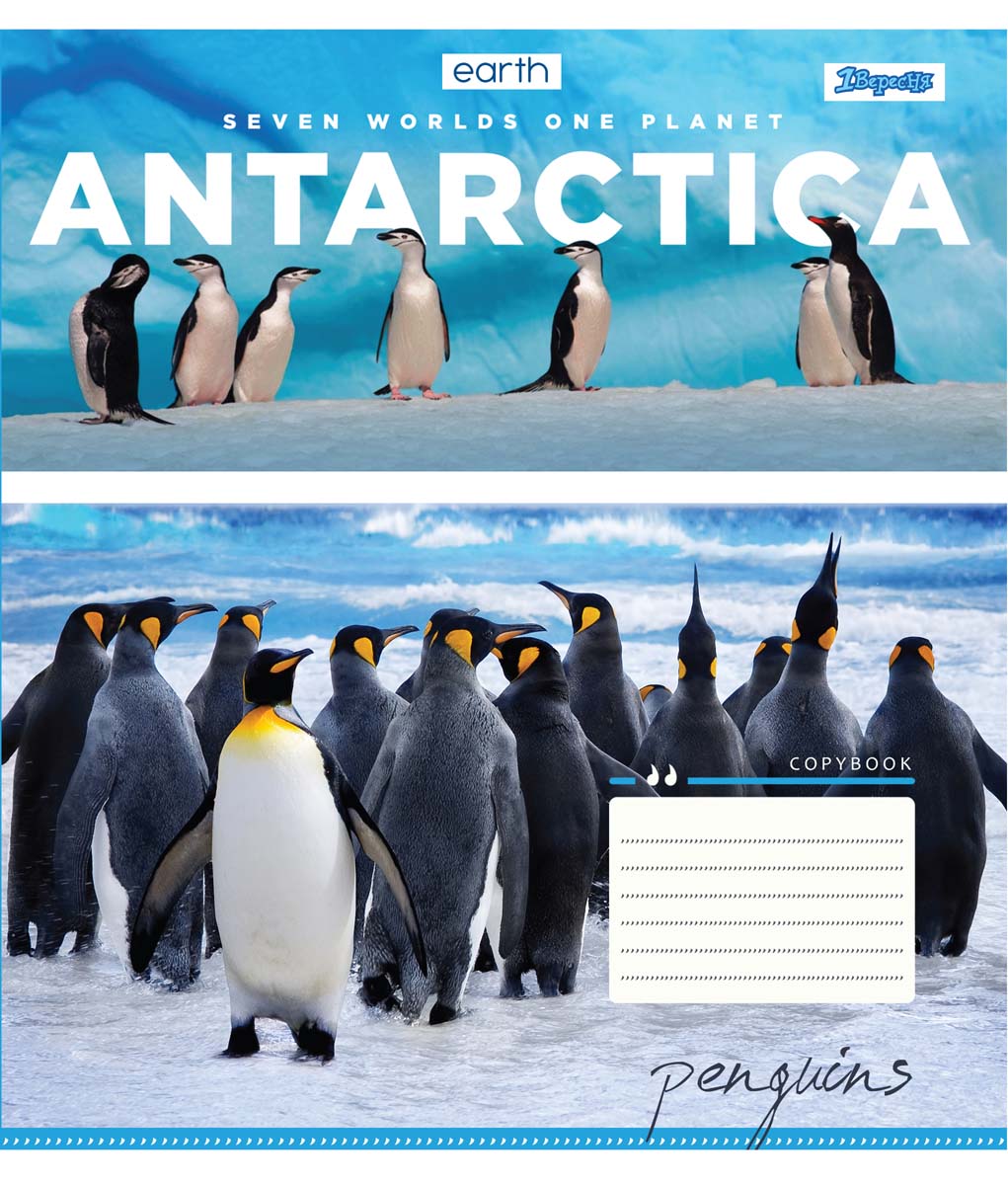 

Набор тетрадей ученических 1 Вересня Earth animal А5 24 листа в клетку 20 шт (764904)
