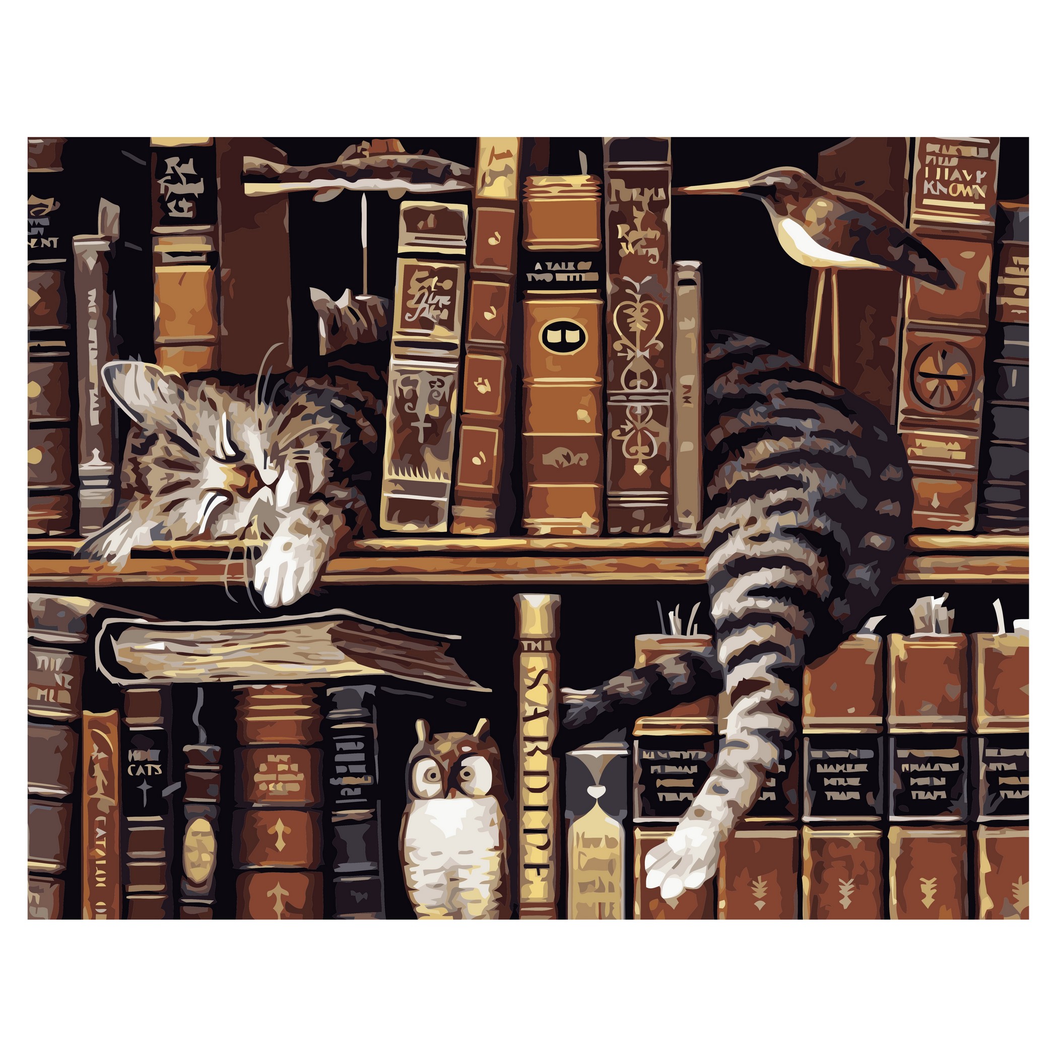 

Картина по номерам "Котик на полке с книгами" Strateg 40х50 см Разноцветный 000161100