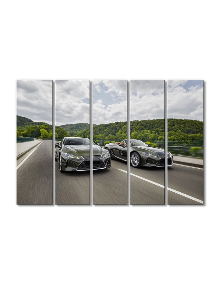 

Модульная картина Artel «Автомобили Лексус ЛЦ 500» 5 модулей 70x105 см