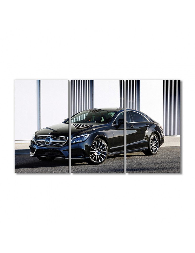 

Модульная картина Artel «Автомобиль Мерседес Бенц CLS 500» 3 модуля 60x90 см