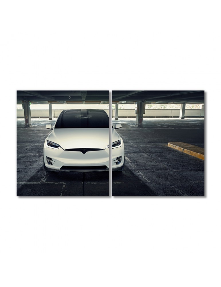 

Модульная картина Artel «Автомобиль Тесла модель X 2020 года» 2 модуля 80x120 см