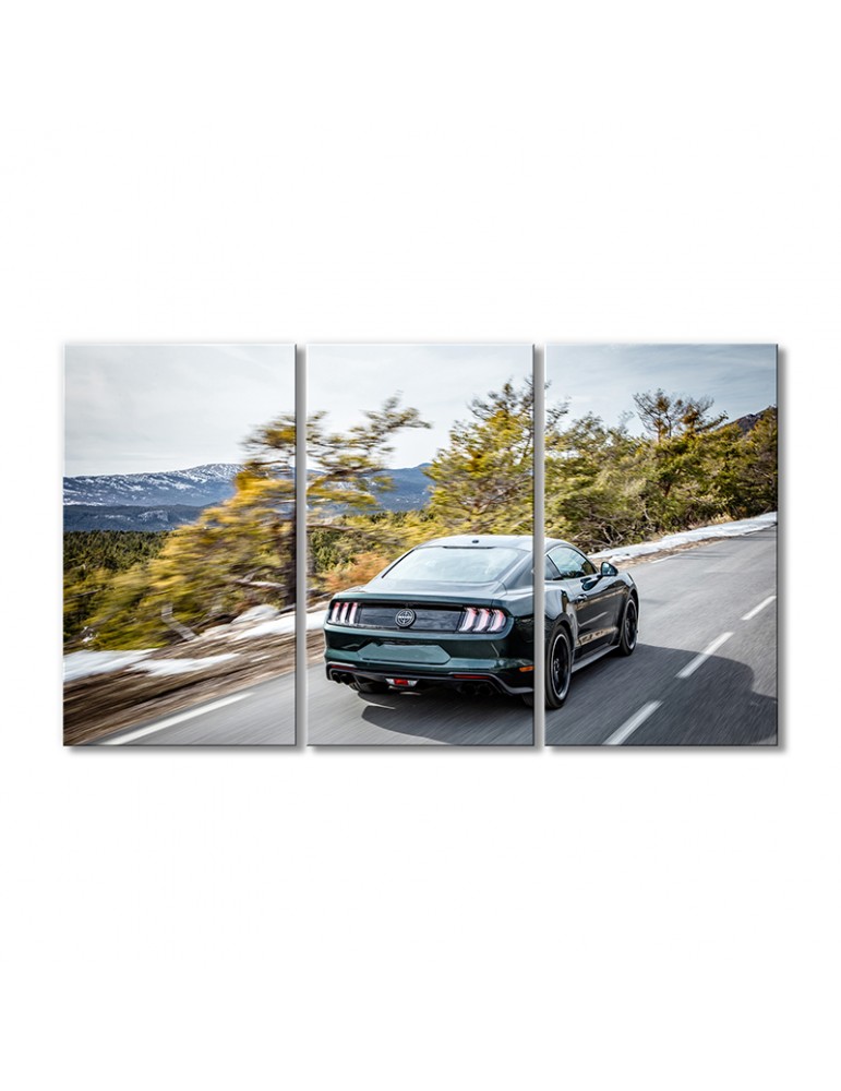 

Модульная картина Artel «Автомобиль Мустанг Буллит европ» 3 модуля 80x120 см