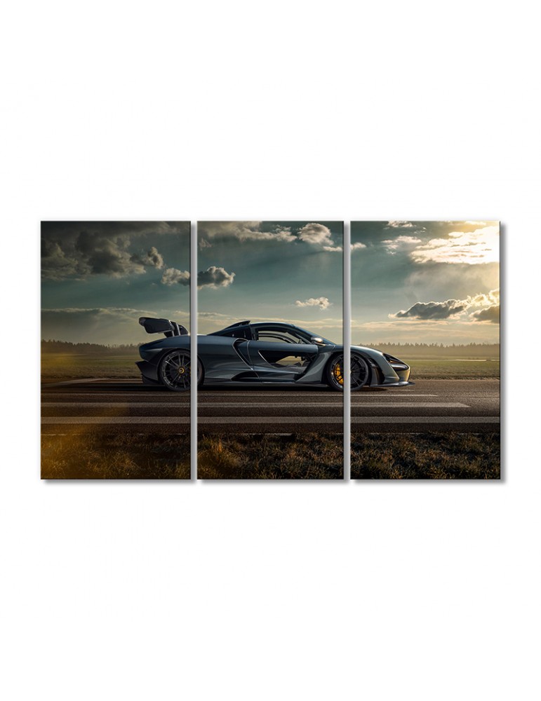 

Модульная картина Artel «Автомобиль МакЛарен Сенна» 3 модуля 50x75 см