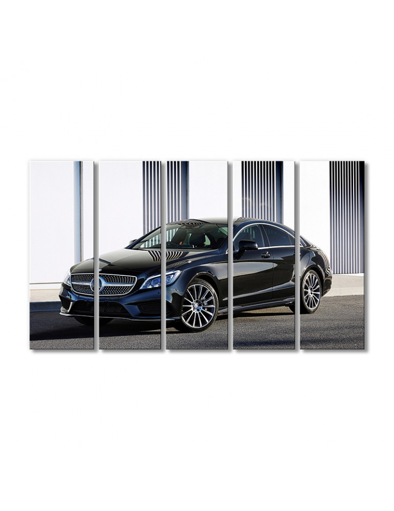 

Модульная картина Artel «Автомобиль Мерседес Бенц CLS 500» 5 модулей 120x180 см