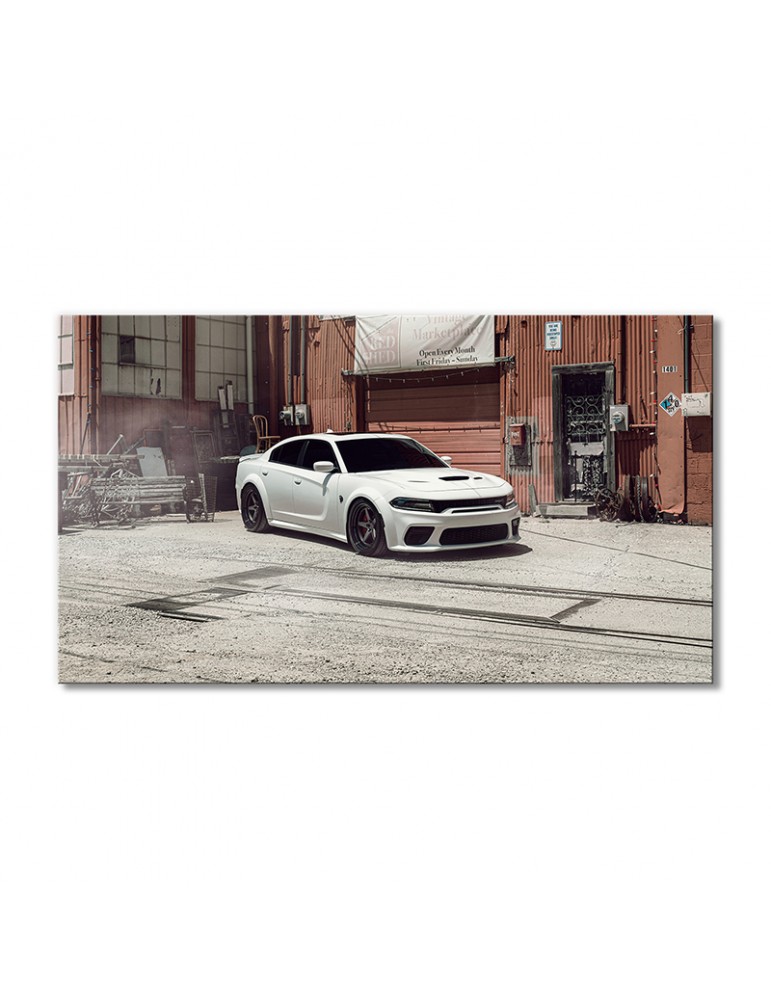 

Модульная картина Artel «Автомобиль Додж 8 белый» 1 модуль 40х60 см