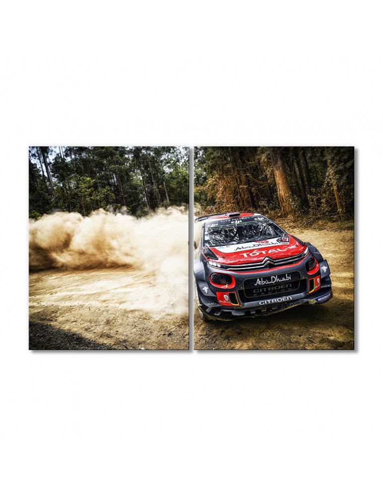 

Модульная картина Artel «Автомобиль Ситроен C3 WRC» 2 модуля 120x180 см