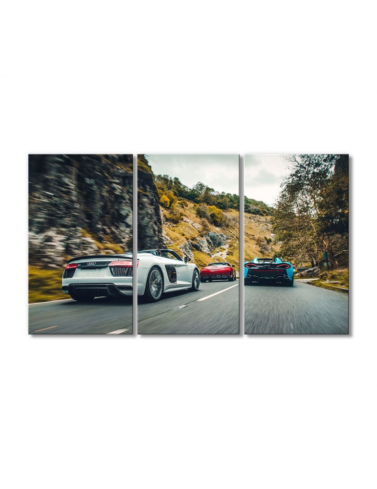 

Модульная картина Artel «Автомобили гоняют Ауди R8 V10» 3 модуля 80x120 см