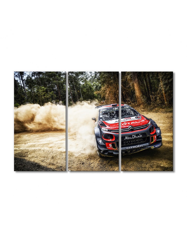 

Модульная картина Artel «Автомобиль Ситроен C3 WRC» 3 модуля 90x135 см