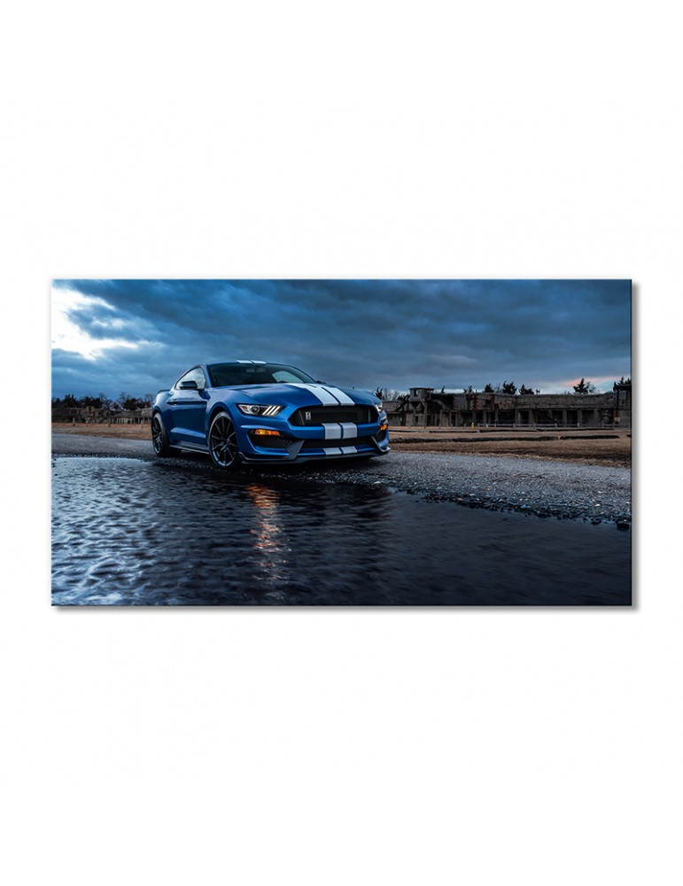 

Модульная картина Artel «Автомобиль Форд Мустанг Шелби GT500» 1 модуль 40х60 см