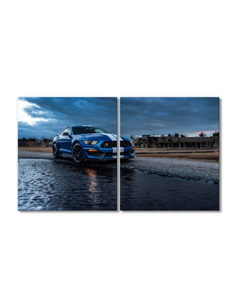 

Модульная картина Artel «Автомобиль Форд Мустанг Шелби GT500» 2 модуля 70x105 см