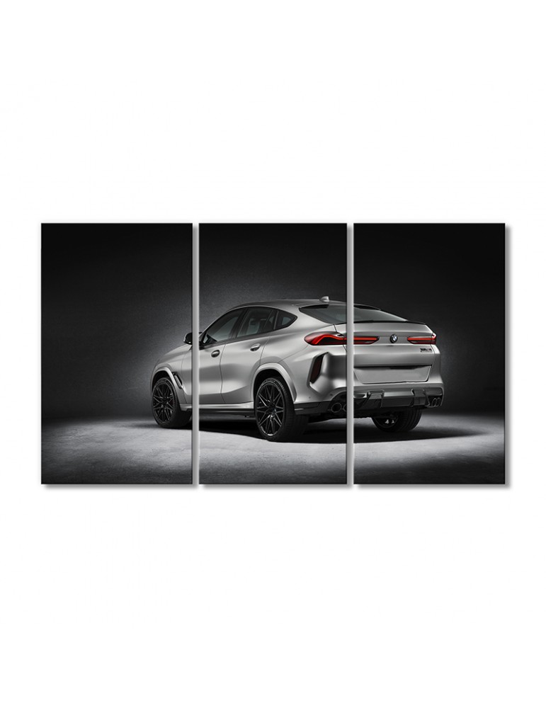 

Модульная картина Artel «Автомобиль БМВ X5 M X6 M» 3 модуля 50x75 см