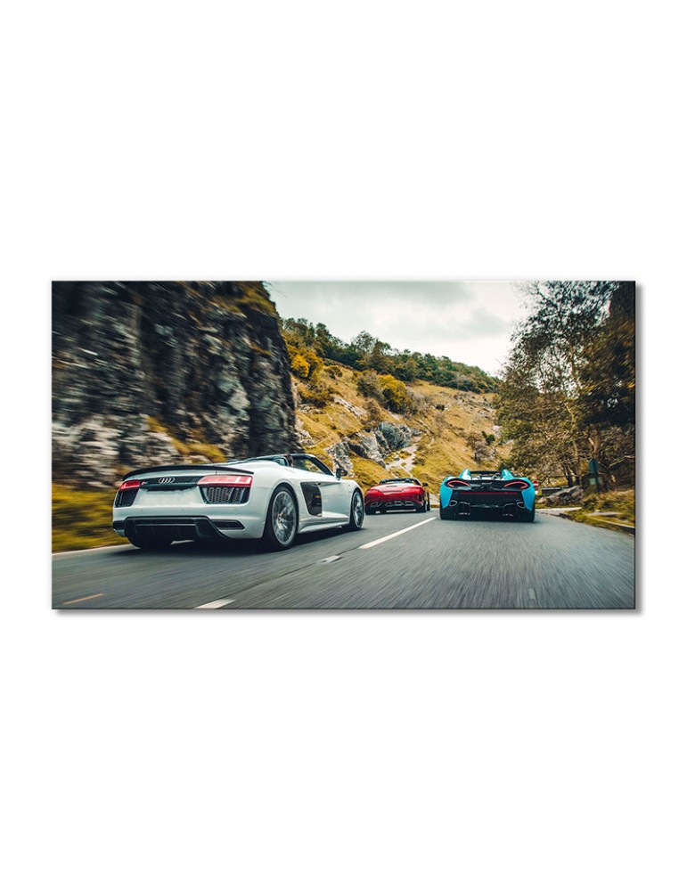 

Модульная картина Artel «Автомобили гоняют Ауди R8 V10» 1 модуль 60x90 см