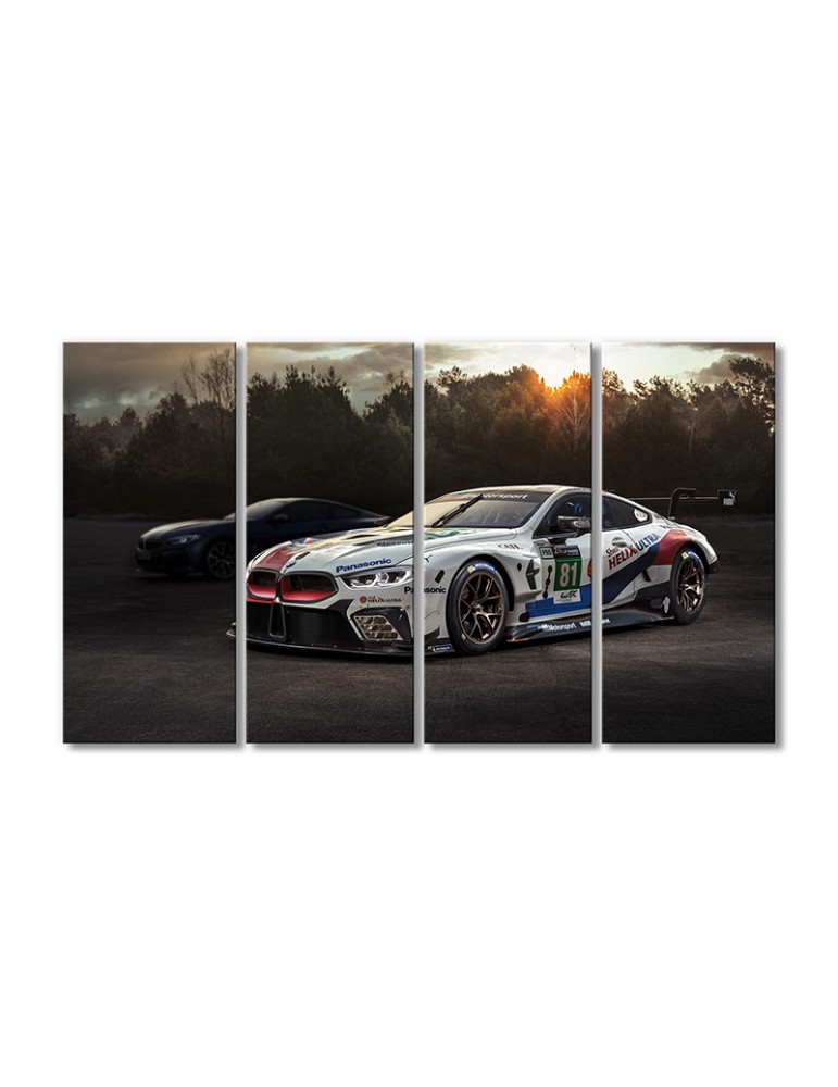 

Модульная картина Artel «Автомобили БМВ М8 GTE 2018» 4 модуля 80x120 см