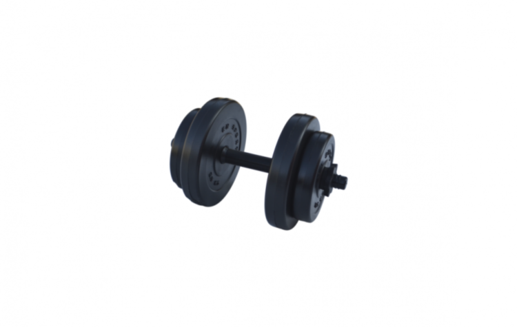 

Гантель композитная разборная RN-Sport 8 кг 1 шт (rns_BDone-8)