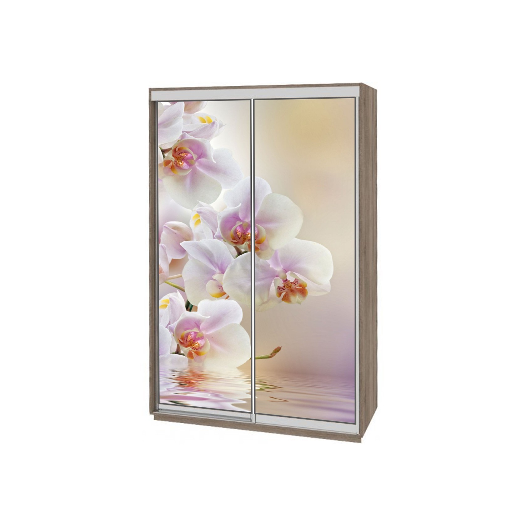 

Шкаф-купе Виват — 2 двери (ДОМ) ДСП-Дуб сонома трюфель с принтом цветов 150x60x240