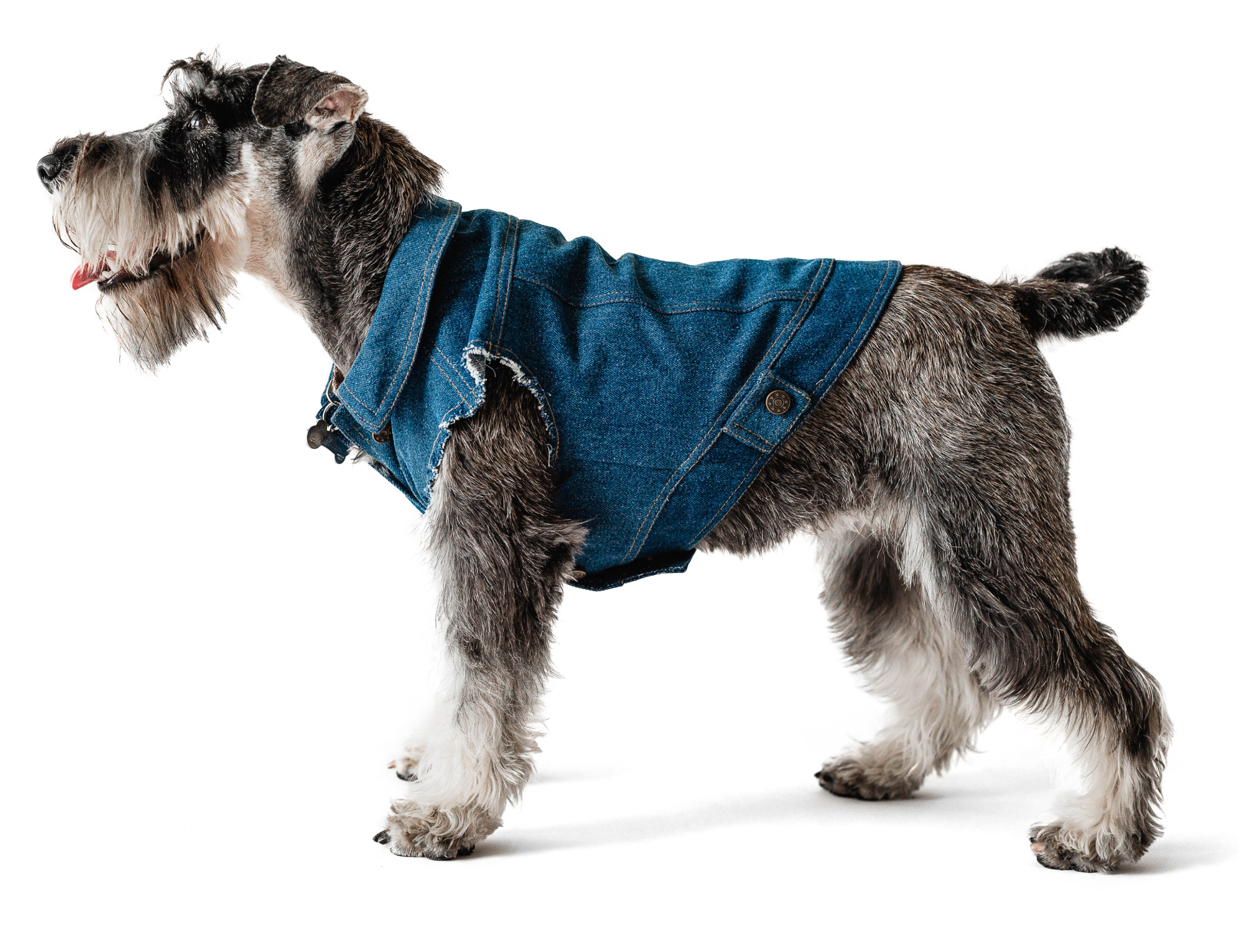 

Жилет для собак Noble Pet Oskar S Denim Blue (O4109/S)