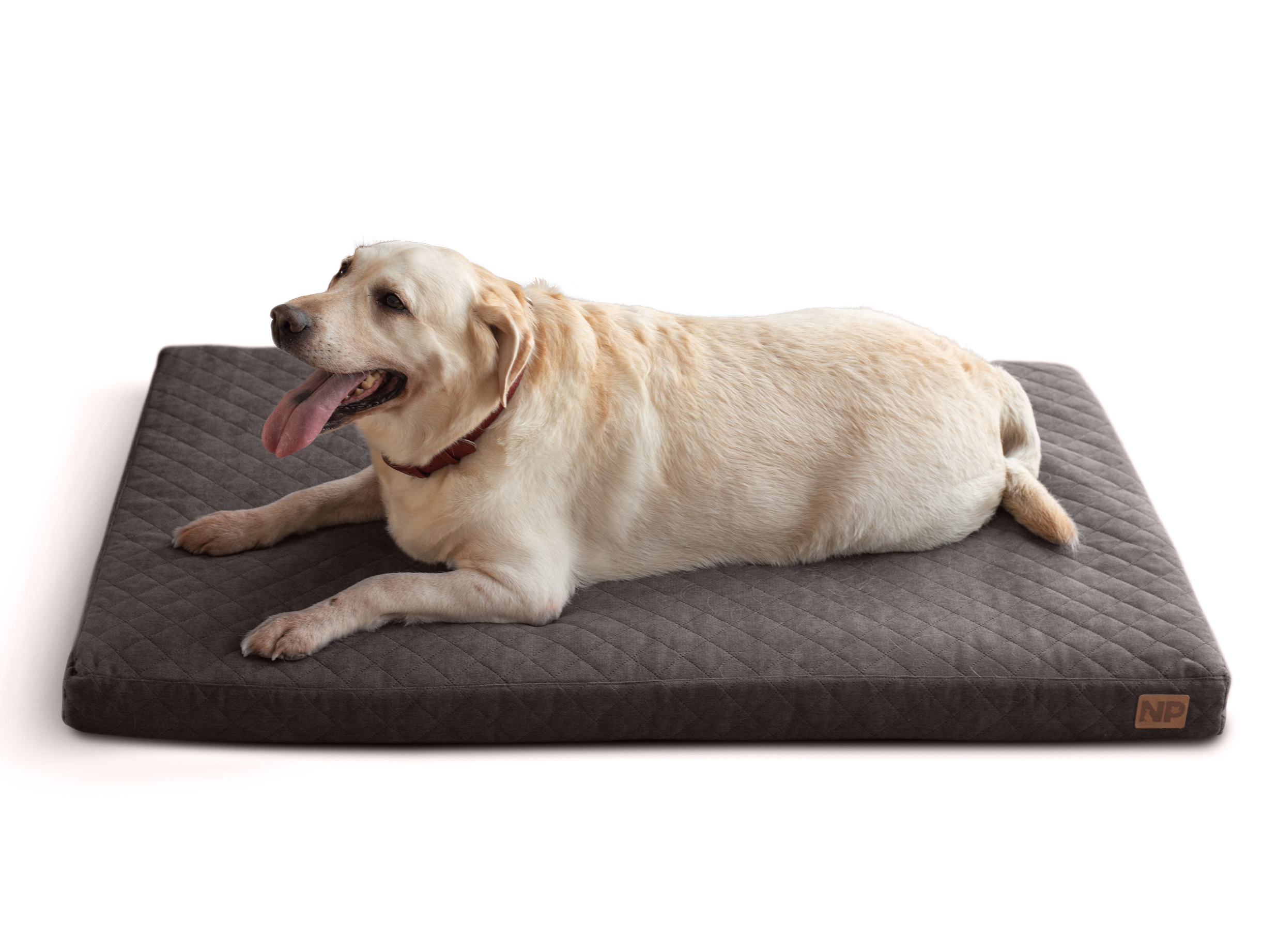 

Матрас для собак Noble Pet Nolan Тёмно-серый 100 х 80 х 8 см (N2129/100)