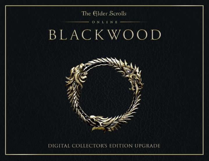

The Elder Scrolls Online: Blackwood – Digital Collector’s Edition (Steam)