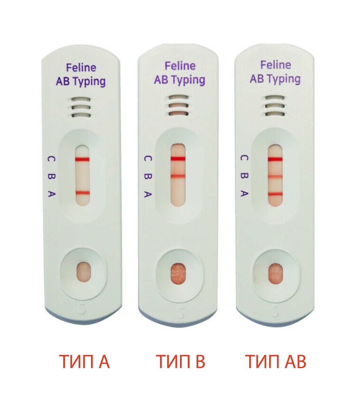 Экспресс-тест KABB BIO Группа крови котов (Feline AB Blood typing kit) от  продавца: Червона Панда – в интернет-магазине ROZETKA | Купить в Украине:  Киеве, Харькове, Днепре, Одессе, Запорожье, Львове