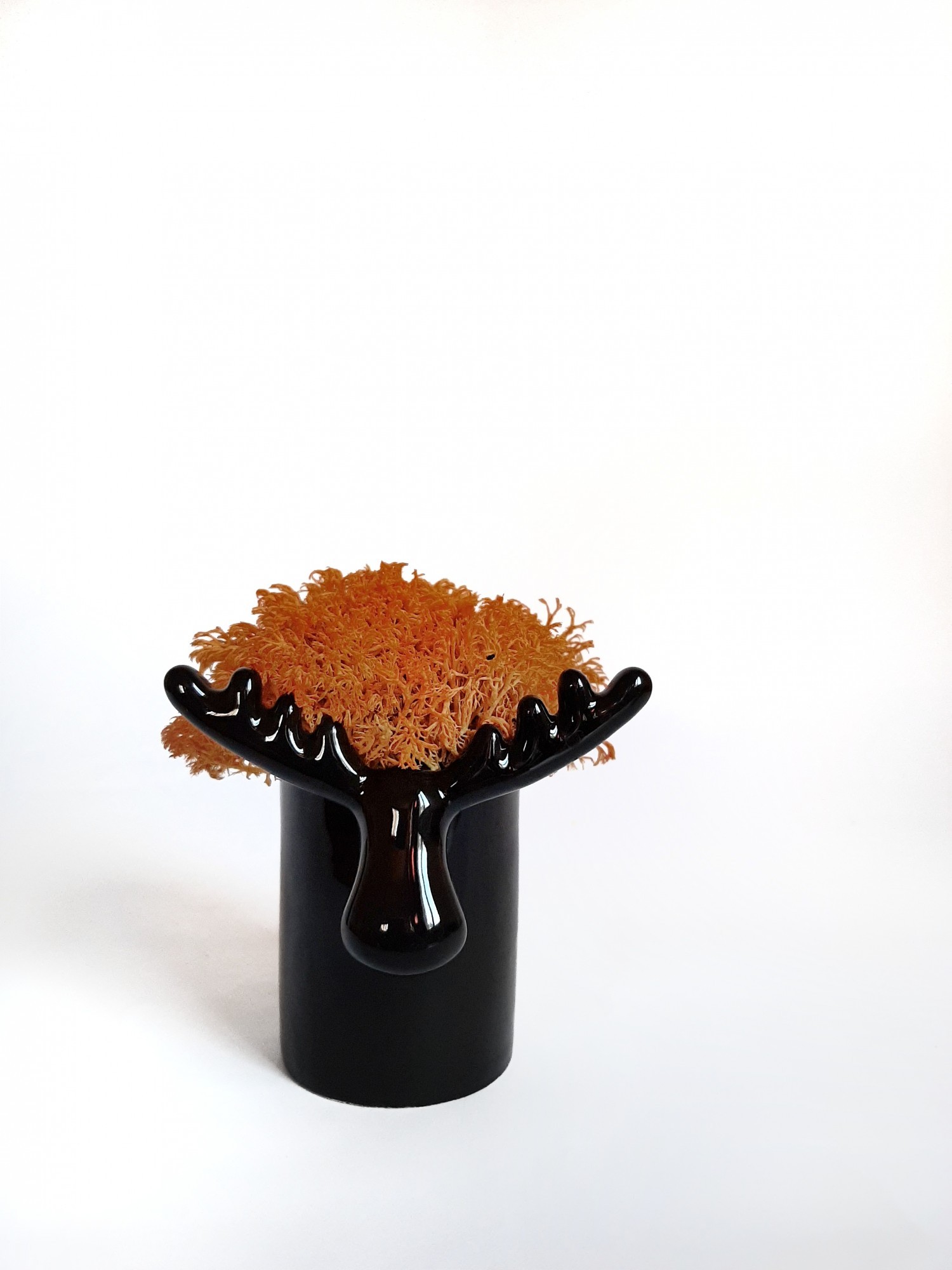 

Стабилизированный мох вазон Reindeer Moss b/222/01/850/10 черный оранжевый