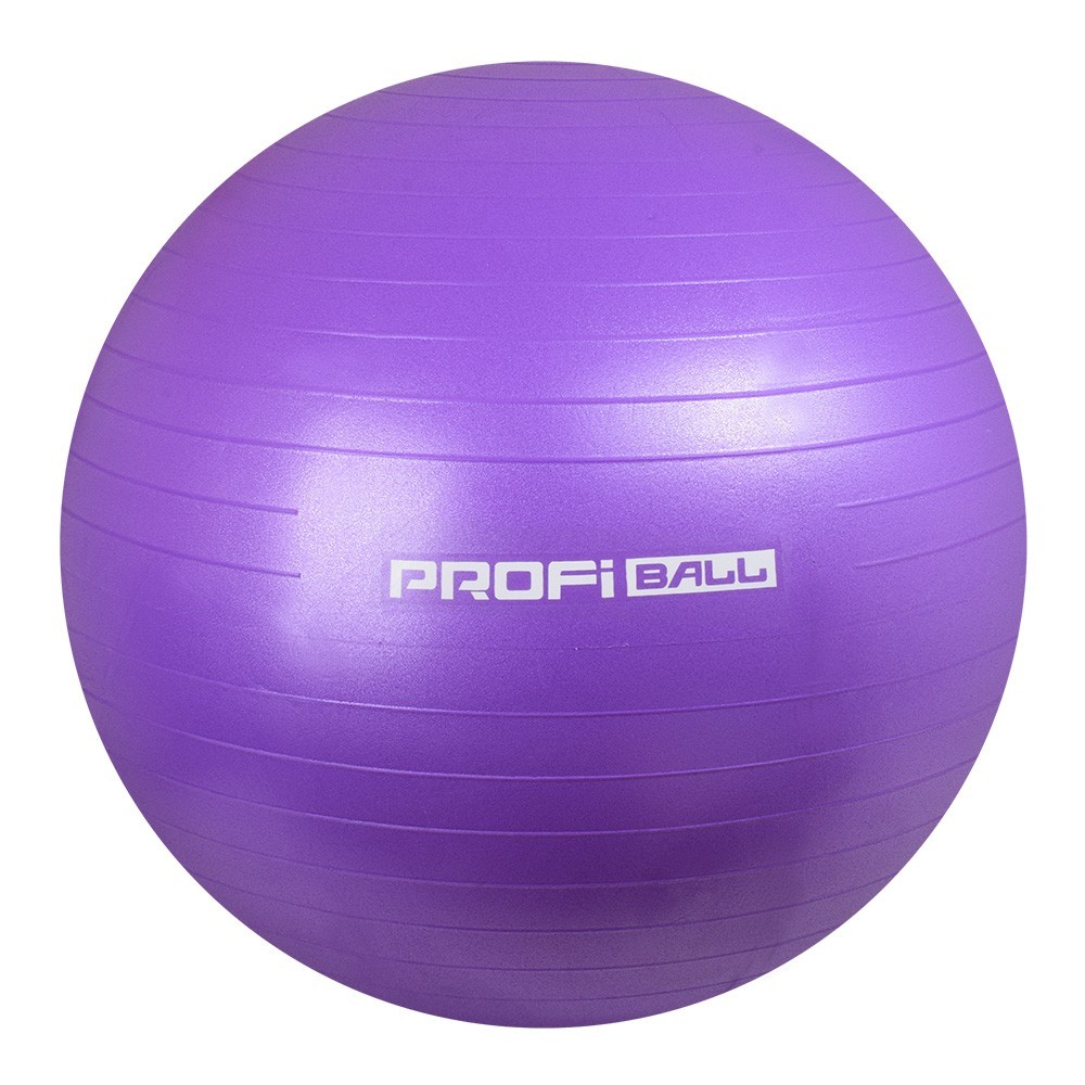

Мяч для фитнеса Profi 65 см фиолетовый (M 0276-violet)