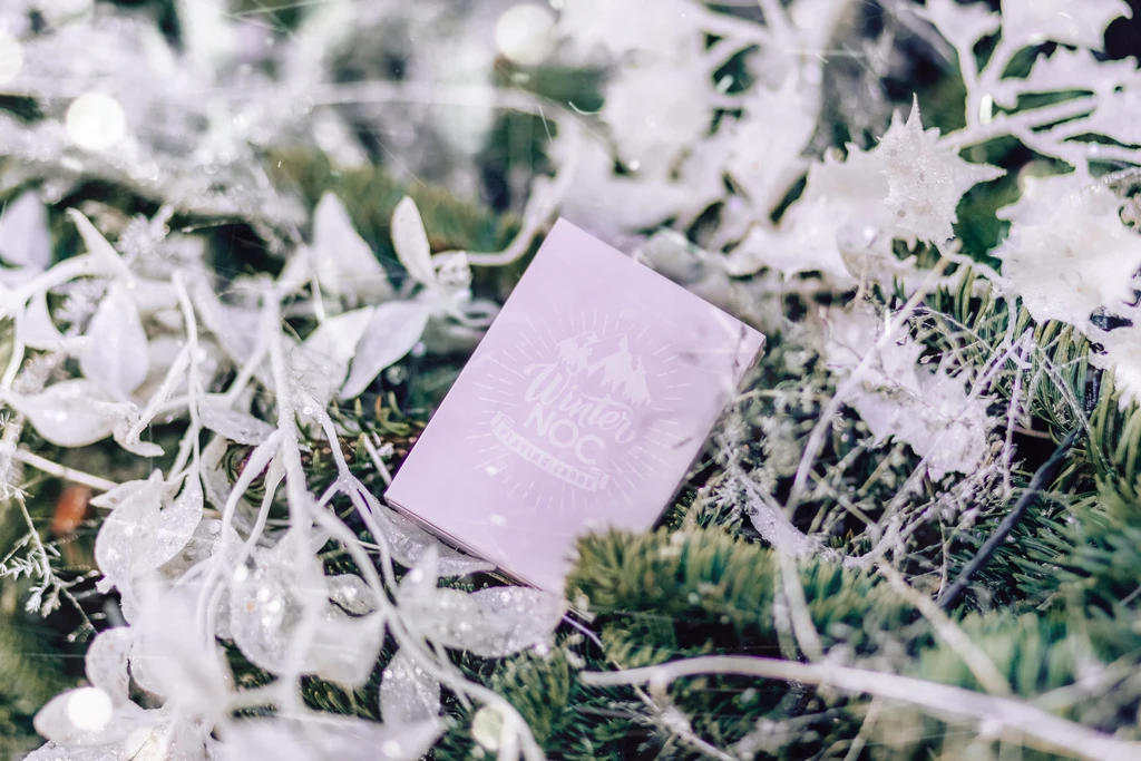 

Игральные карты USPCC Winter NOCs - Lavender Dusk Purple