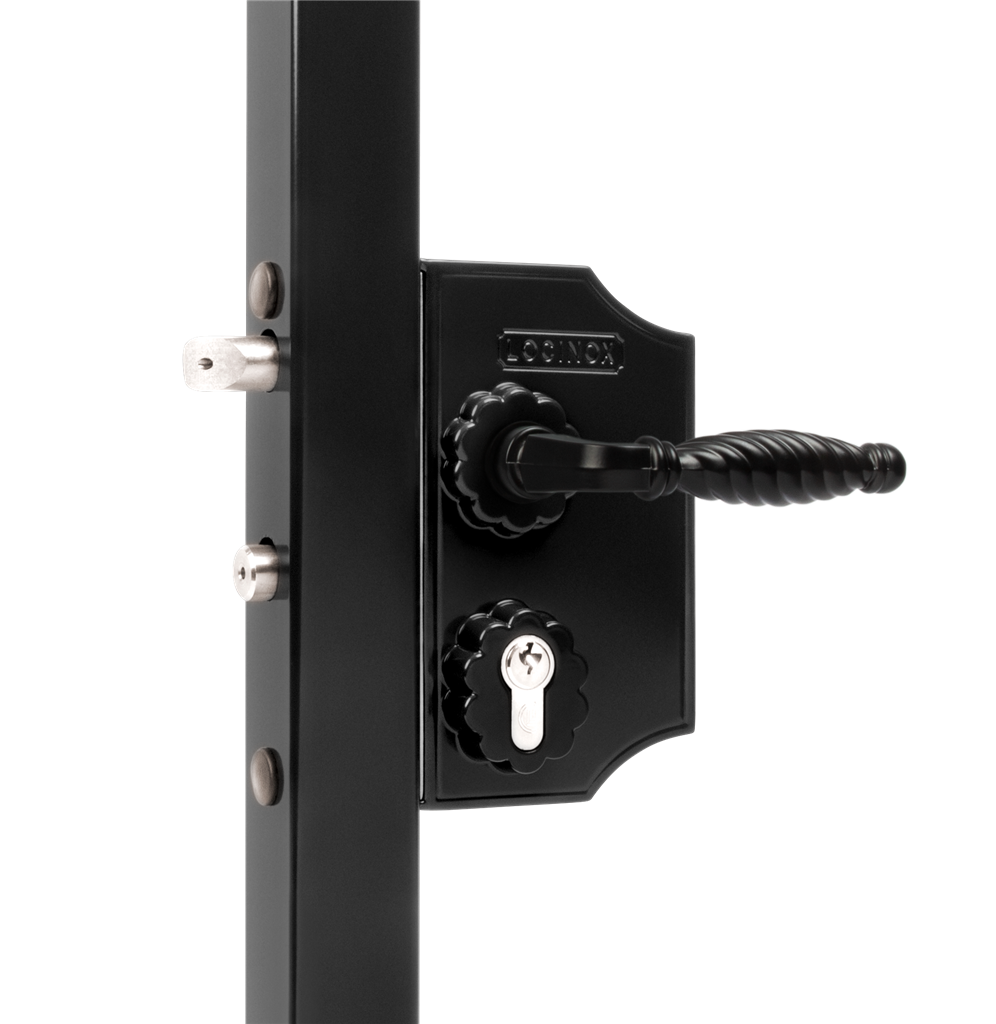 

Большой накладной декоративный замок Locinox RAL 6009 LAKQH2-6009
