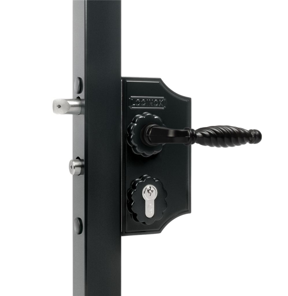 

Малый накладной декоративный замок Locinox RAL 6009 LAKYF2-6009