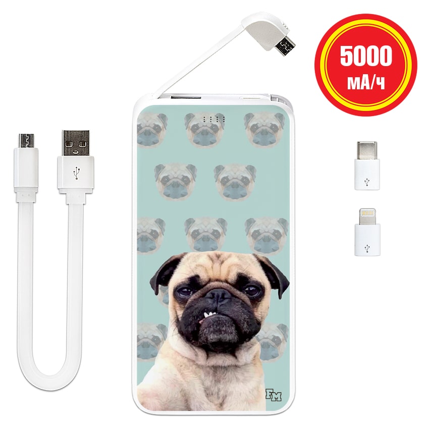 

FM Power Bank Злой Мопс 5000 mAh (E505-27)