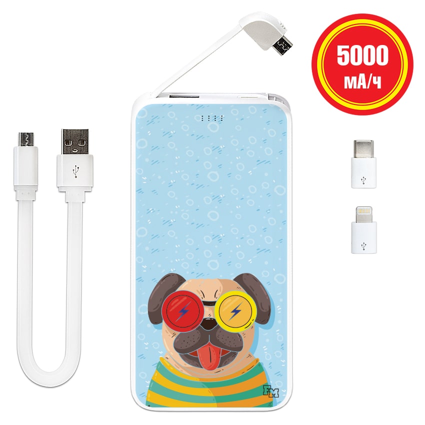 

FM Power Bank Полосатый Мопс 5000 mAh (E505-16)