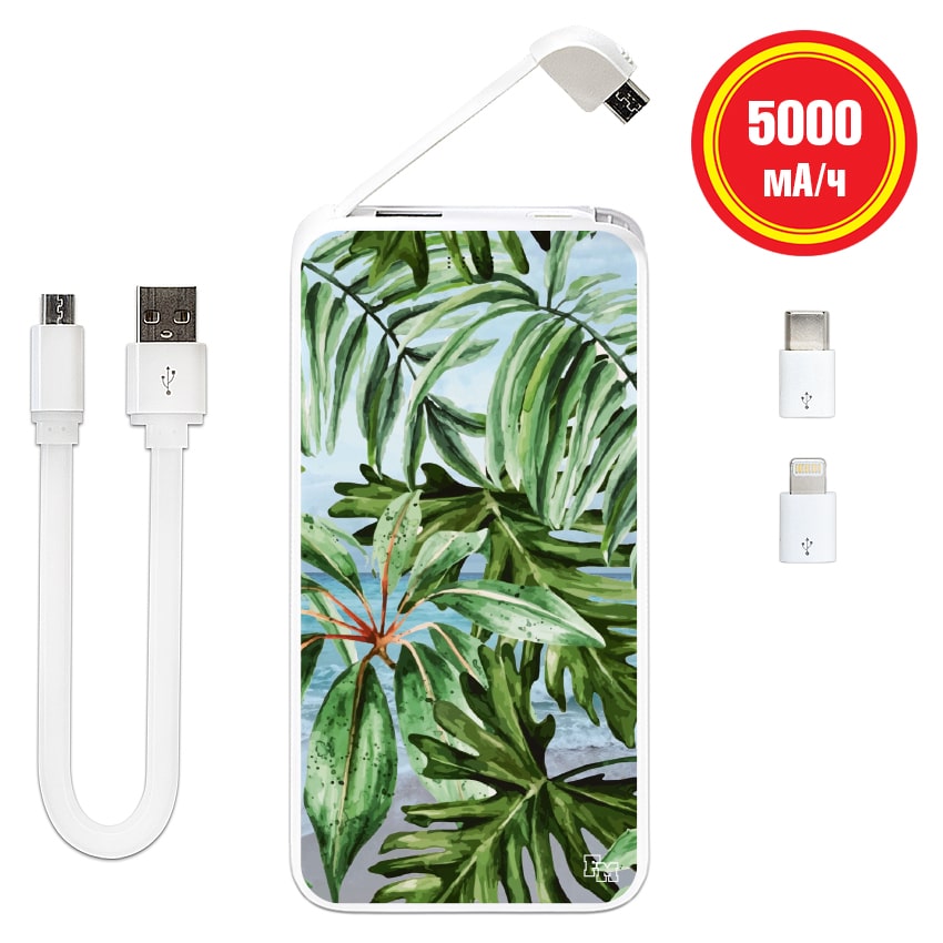 

FM Power Bank с принтом Пальмы 5000 mAh (E505-34)