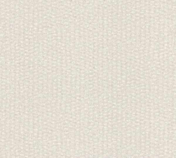 

Обои Rasch Abaca 229317