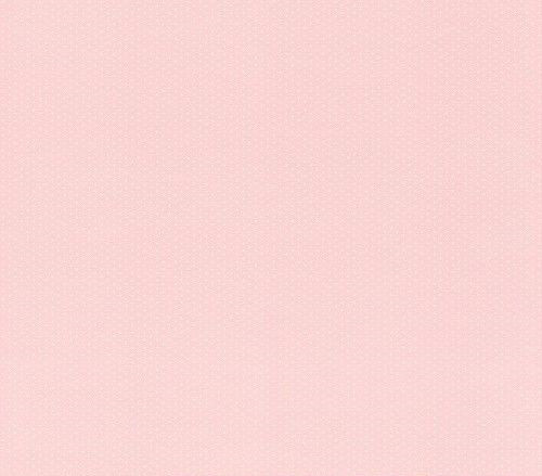 

Обои Rasch Petite Fleur 4 289021