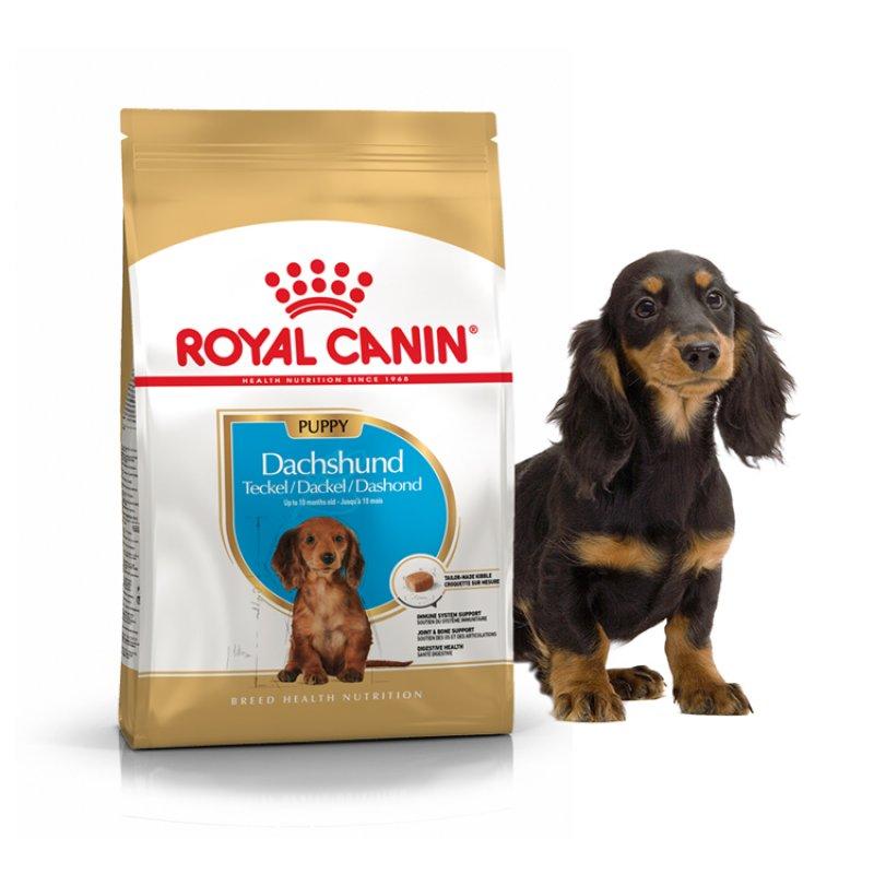 

Сухой корм для щенков Royal Canin Dachshund Puppy, 1,5 кг