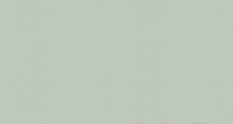 

Обои Rasch Maximum 14 954340