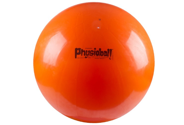 

Мяч 120 см Physioball Standard оранжевый Ledragomma L 9