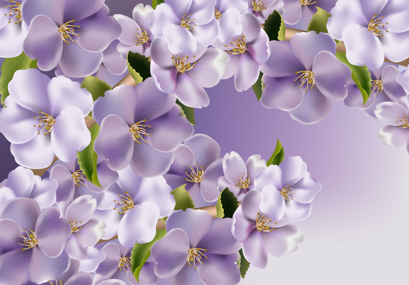 

Фотообои Walldeco Цветы вишни №39517 Бриз
