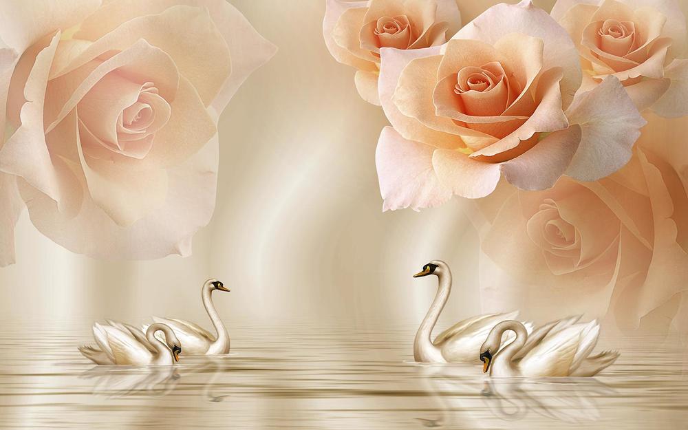 

Фотообои Walldeco Озеро с лебедями №34464 Деко