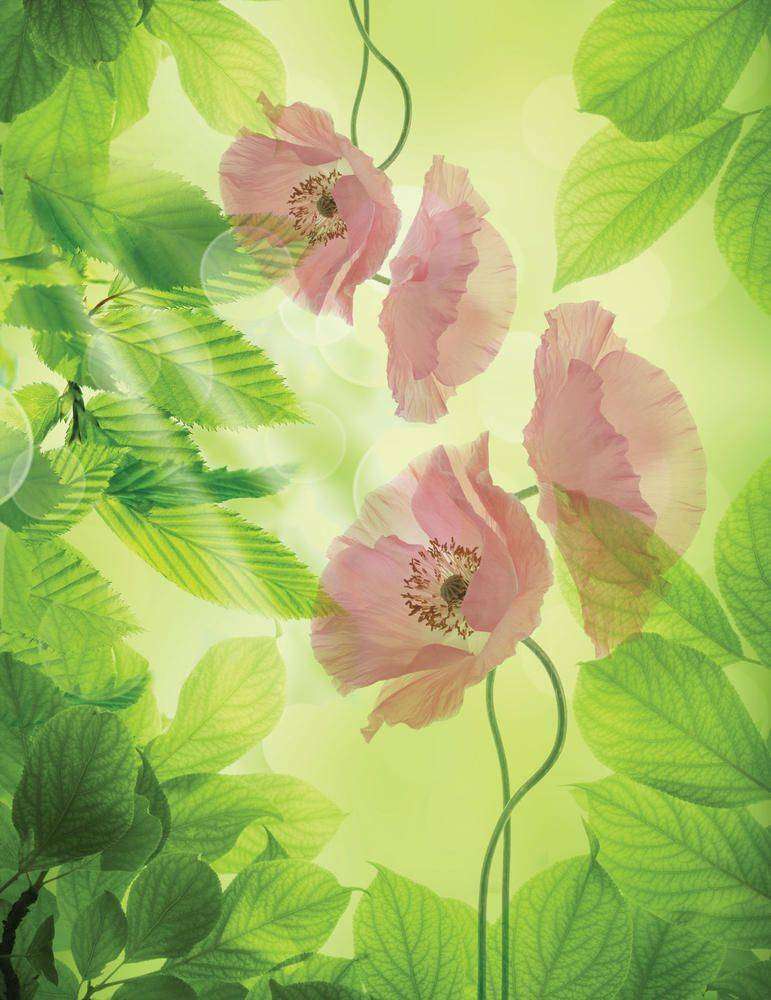 

Фотообои Walldeco Розовые маки №23570 Волокно