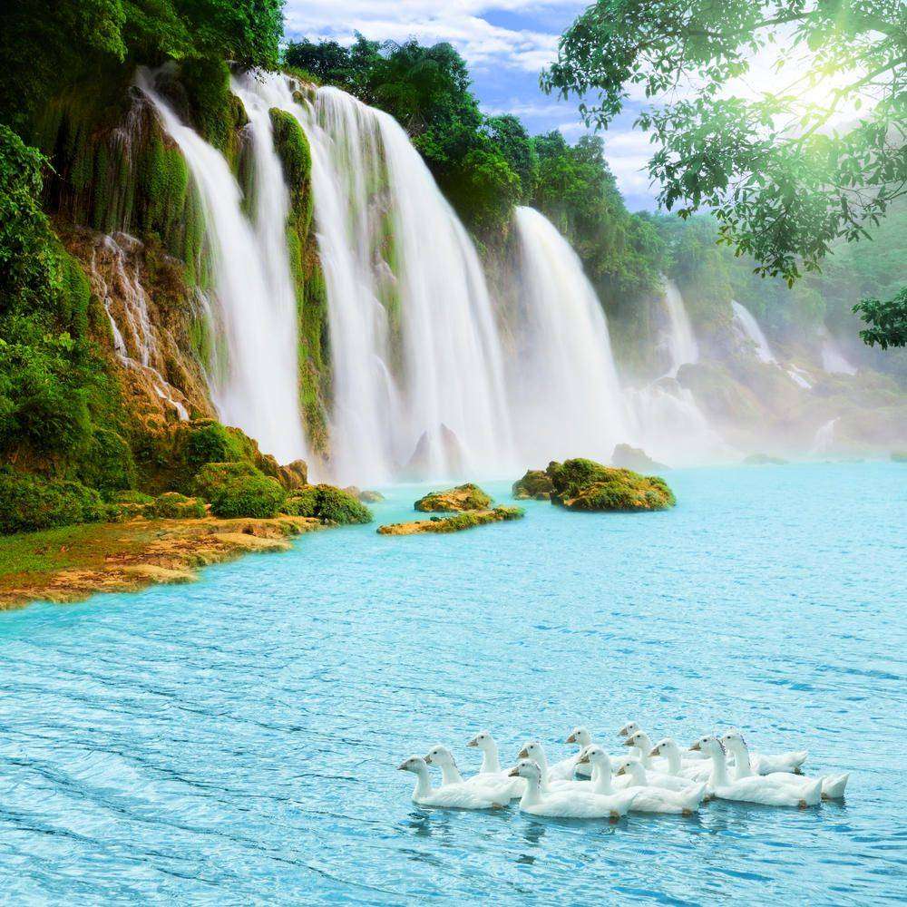 

Фотообои Walldeco Водопад и голубое озеро №2925 Бриз