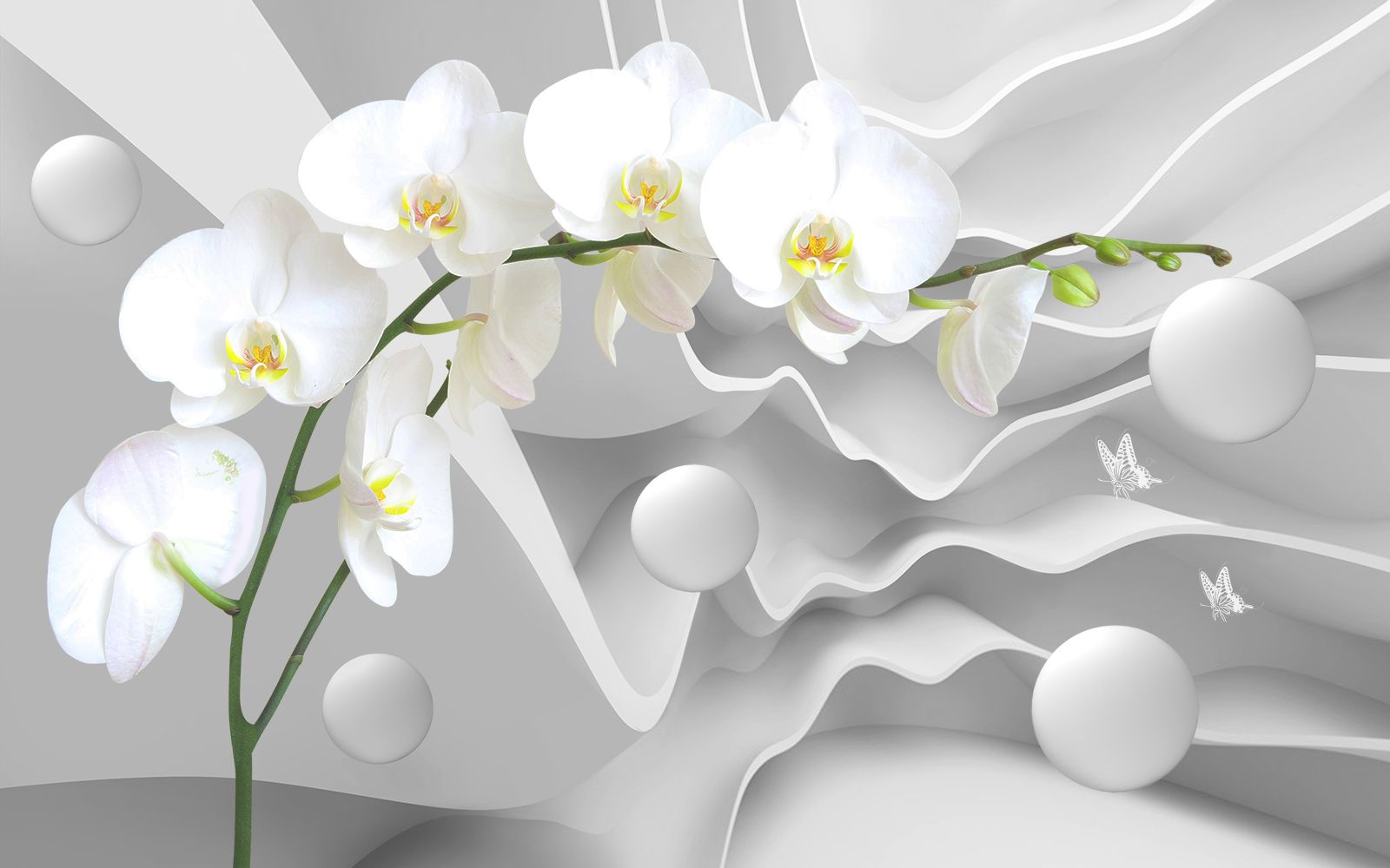 

Фотообои Walldeco Белоснежный цветок №33867 Базальт