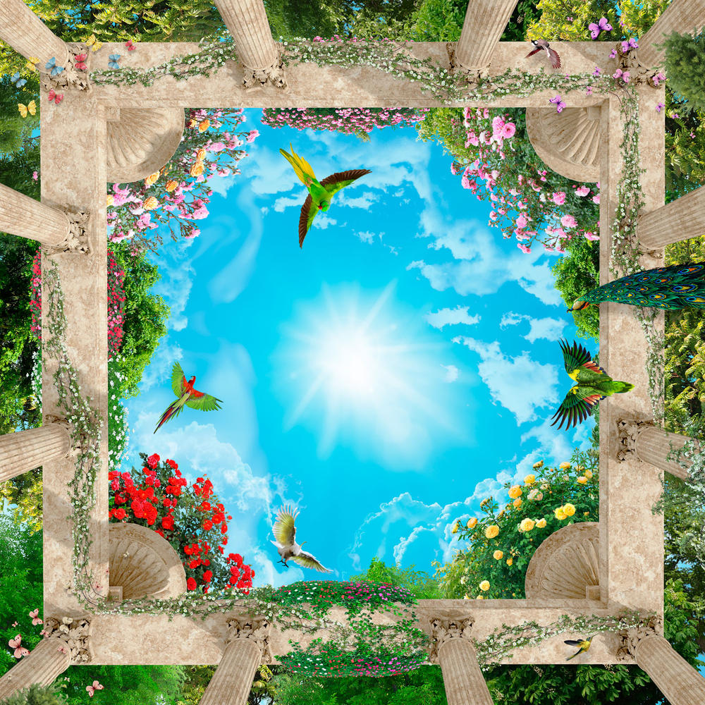 

Фотообои Walldeco Птицы в небе №30792 Гладь