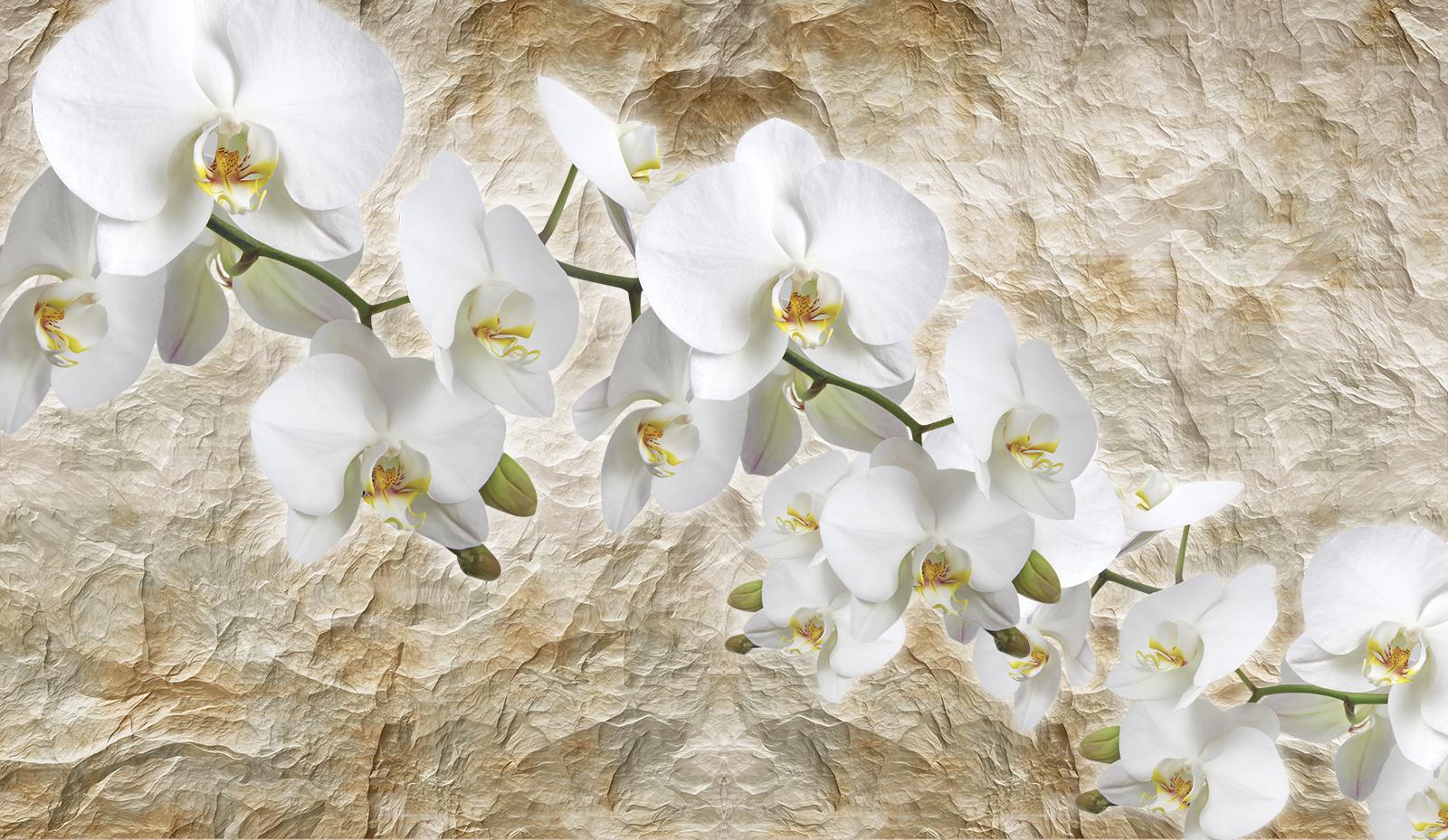 

Фотообои Walldeco Ветви белоснежных цветов №36809 Гладь